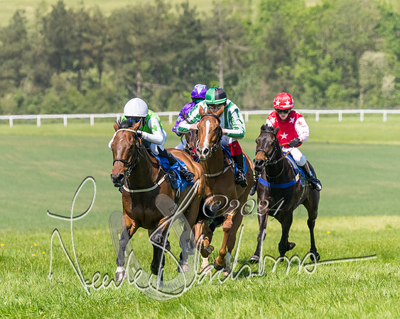 Pony Races  (64 of 141)