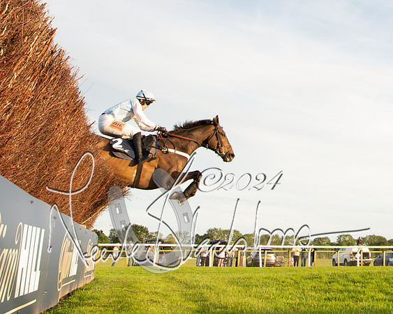 Race 5 - tipsterreviews.co.uk handicap (62 of 107)