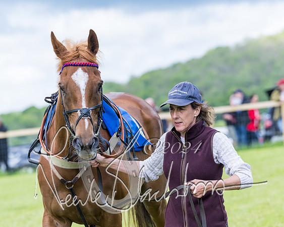 Race 3 - Conditions (9 of 367)