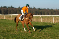 Races 6 - Open Maiden 10