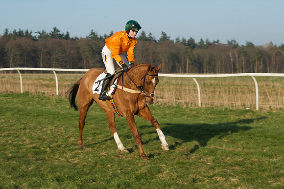 Races 6 - Open Maiden 10