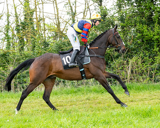 Race 2 - 2M4F Conditions (49 of 195)