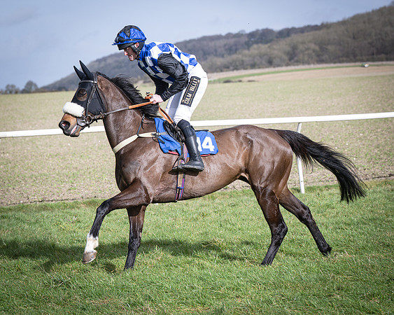 Race 3 - The Maiden Conditions (60 of 214)