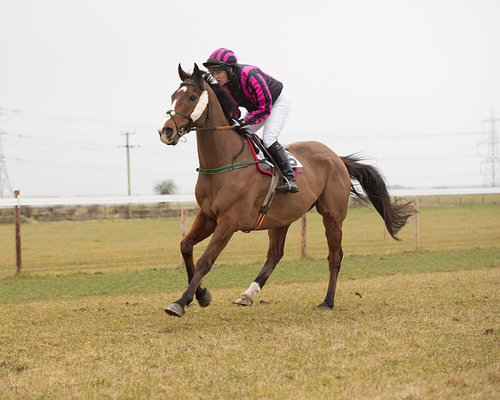 Race 6 - Open Maiden (70 of 120).jpg