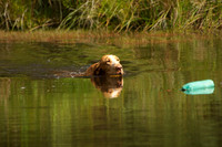 WCGB-04AUG-2013 Water Training Day  12