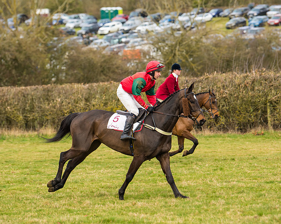 Race 3 - Restricted  (2 of 100)