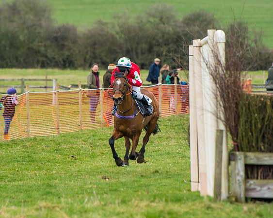 Pony Race 2 (47 of 162)