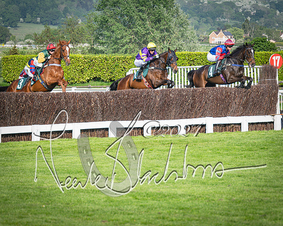 Race 3 - The Junior Jumpers open hunter's steeple chase 3m1f56y (45 of 156)