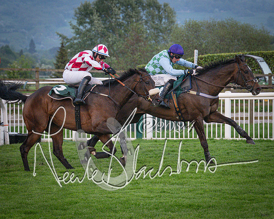 Race - 7 The Royal Gloucester Hussars Open Hunter's steeplechase 2m4f 127y (118 of 210)
