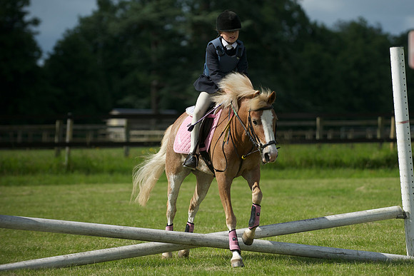 SOHS PC Summer Show at BCA 17th June 2012