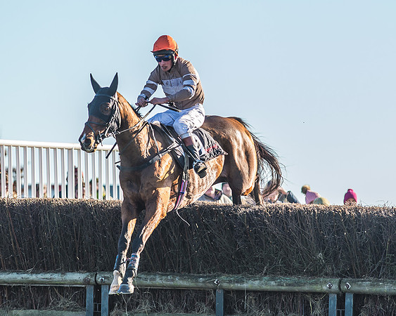 Race 1 - PPORA Novice Riders Race-64
