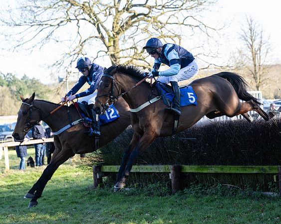Race 5 - Maiden (78 of 123)