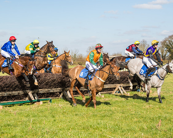 Race 1 - Open Maiden Division 2 (55 of 173)