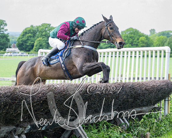 Race 2 - Restricted  (269 of 308)