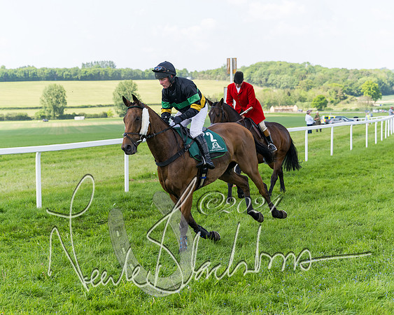 Race 2 - The Mixed Open (12 of 347)