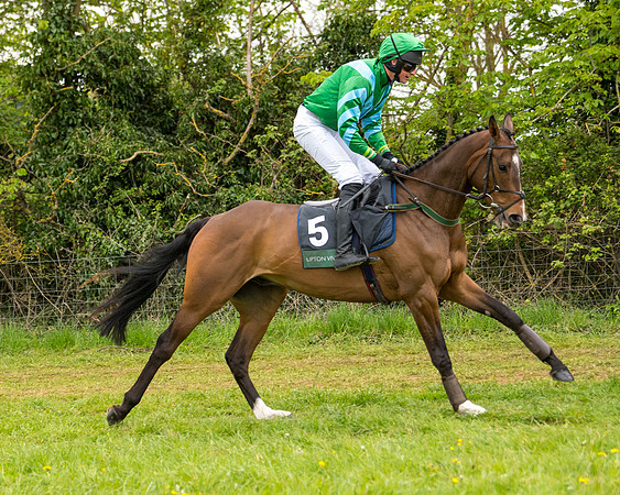 Race 7 - Open Maiden  (17 of 106)