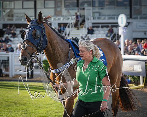 Race 4 - Peretemps Stratford Foxhunters (15 of 168)