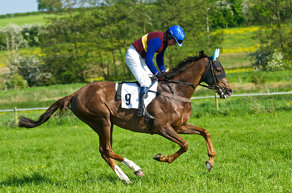 GR6_9641