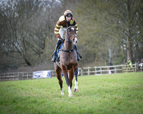 Race 1 - All Is True - Jack Andrews (1 of 38)
