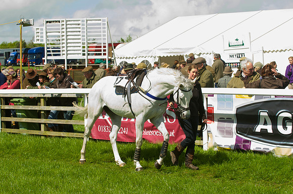 Race 2 - Open Maiden  4