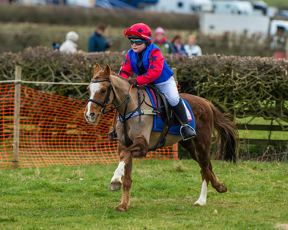 Pony Race 1 (53 of 101)