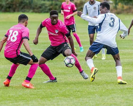 edsv 6-0 191016 (161 of 257)