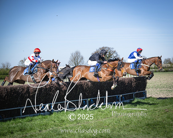 Race 6 - Veteran horse (59 of 109)