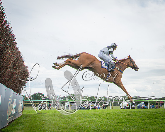 Race 1 - Pointing Pointers Restricted Final (43 of 79)