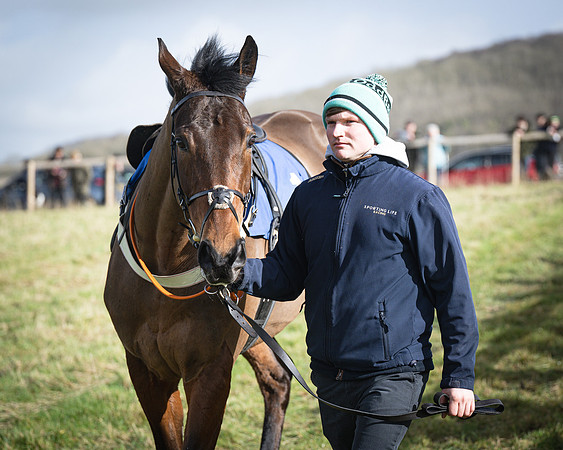 Race 1 - Four and Five year Old Maiden (28 of 137)