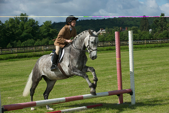 SOHS PC Summer Show at BCA 17th June 2012