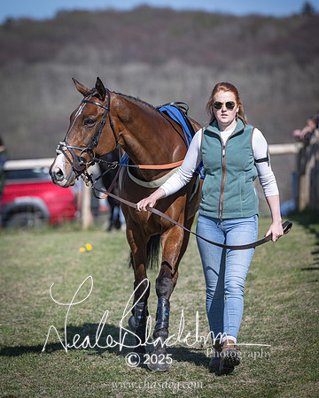 Race 6 - Veteran horse (2 of 109)