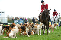 Pytchley - Hounds and friends 1