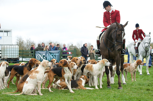 Pytchley - Hounds and friends 1