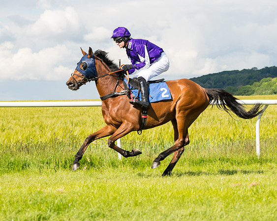 Race 5 - Restricted  (26 of 136)