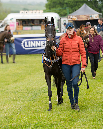 Pony Race 1  (19 of 125)