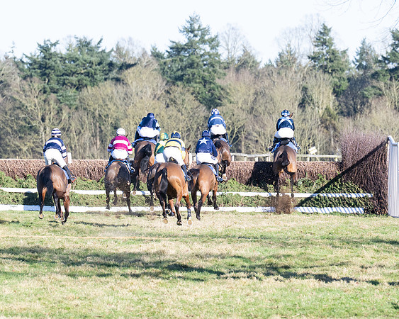 Race 5 - Maiden (39 of 123)