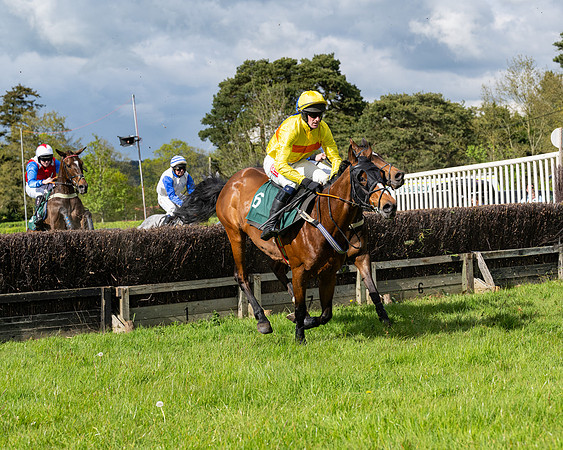 Race 5  - Maiden  (24 of 84)