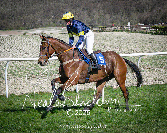 Race 5 - The restricted (27 of 113)