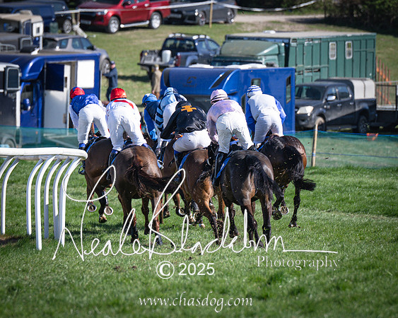 Race 6 - Veteran horse (84 of 109)