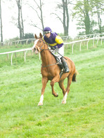 Old Berks at Lockinge PPORA novice and veteran riders race