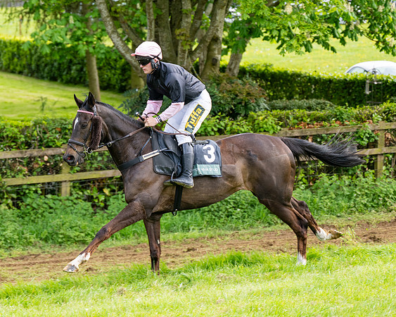 Race 5  - Novice riders (51 of 188)