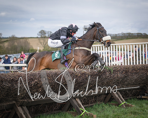 Race 3 - 5 years old and Over Maiden Race (79 of 130)