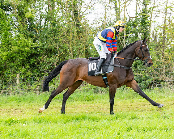 Race 2 - 2M4F Conditions (48 of 195)