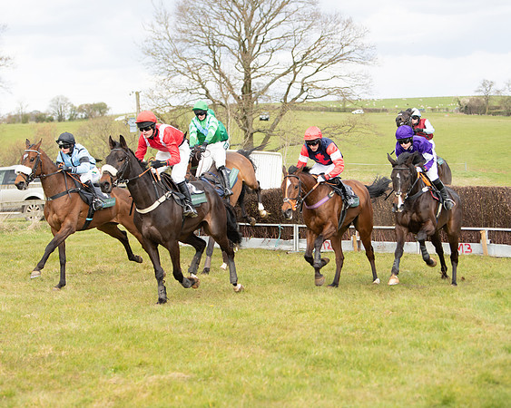 Race 2 - Young Horse Maiden (52 of 104)