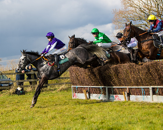 Race 5 - Restricted  (22 of 118)