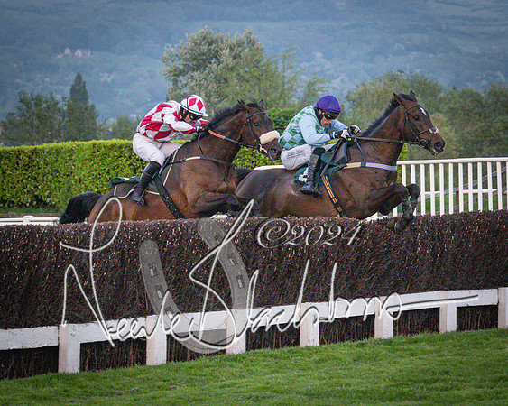 Race - 7 The Royal Gloucester Hussars Open Hunter's steeplechase 2m4f 127y (109 of 210)