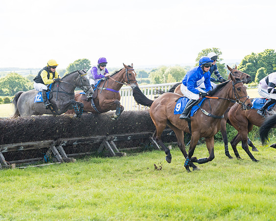 Race 6 - Open Maiden (107 of 227)