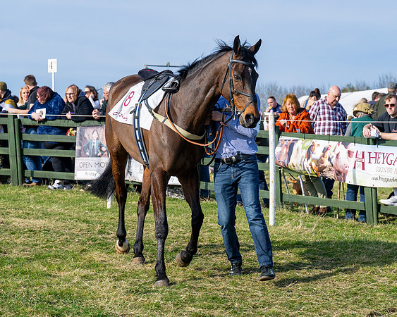 Race 5 - PPORA Five years and over (13 of 163)