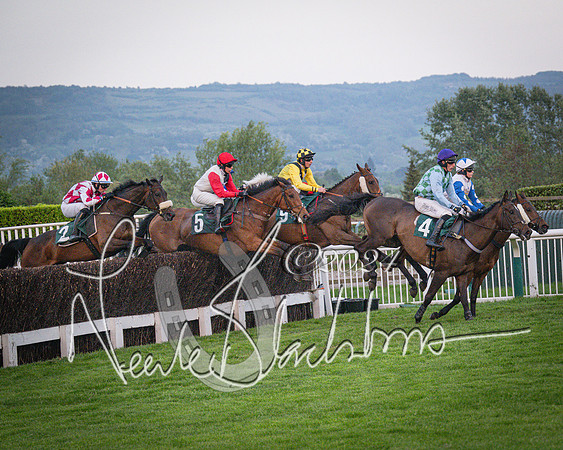 Race - 7 The Royal Gloucester Hussars Open Hunter's steeplechase 2m4f 127y (76 of 210)