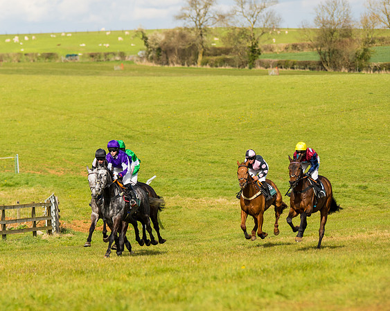 Race 5 - Restricted  (17 of 118)
